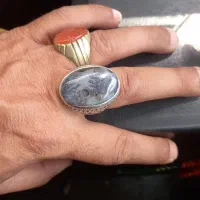 شجر|جواهرات|تبریز, |دیوار