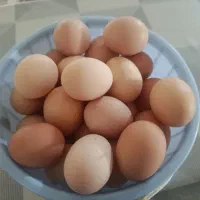 تخم مرغ محلی