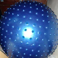 توپ خاردار بدنسازی پلاتس فیتنس Gym ball سایز بزرگ