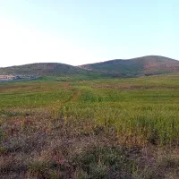 زمین کوهین (مه گیر)