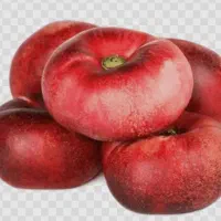 انواع نهال های مثمر و پیوندی