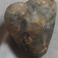 فرو سنگ کلکسیون شاهکار طبیعت فسیل هلزون ملیون ساله