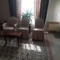 یوکا|گل و گیاه طبیعی|تهران, حکمت|دیوار