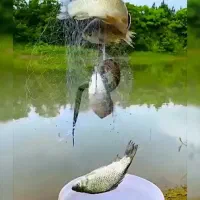 تور ماهیگیری موشکی،مفت گیر