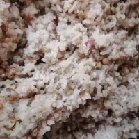 کود کبوتر. بسیار. تر. تمیز.  بدون  برگ وشاخه