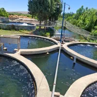نگهبان دائمی برای پرورش ماهی