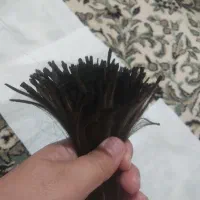 مو طبیعی