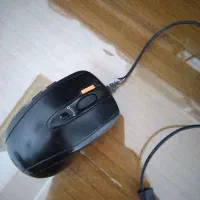 موس داغون