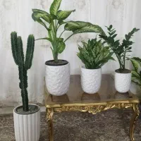 گل طبیعی پایه کلدان سرامیکی چهارتایی