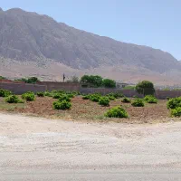 فروش زمین باغ بر آسفالت نسه کوی جاویدان