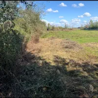 ۴۰۰۰متر مزرعه کنار رودخانه دهبنه رشت