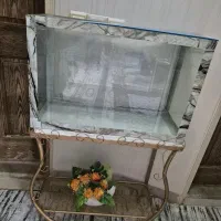 آکواریوم همراه با میزش،سالم و در حد نو