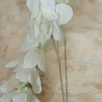 اکسسوری|زیورآلات و اکسسوری|سبزوار, شرق کال جنوبی (شمس آبادی)|دیوار