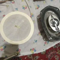 بلندگو سقفی