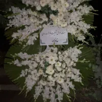 تاج‌گل طبیعی