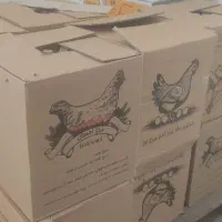 کارتن خالی تخم‌مرغ