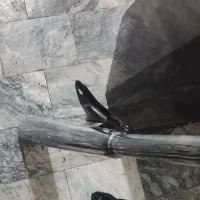 وسایل موتور سیکلت