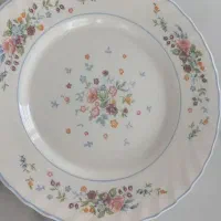 ارکوپال
