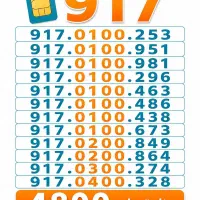 917.0200..917.0300