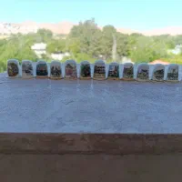 انگشت دانه