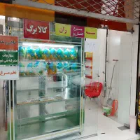 پروتئین مهدی