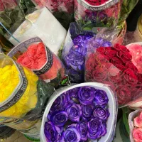 استخدام منشی ساعت کاری (۱۱ تا ۱۸)