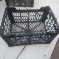 سبد میوه دونه ۲۲