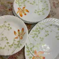 سرویس آرکوپال گلدار