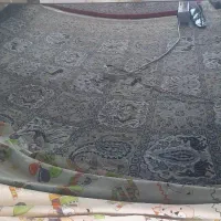 هود لمسی can