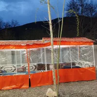 کافه رستوران ابرا (اجاره تخت)|کافی‌شاپ و رستوران|شاندیز, |دیوار