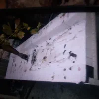 پالت میوه