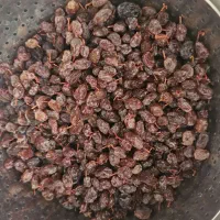 کشمش آفتابی