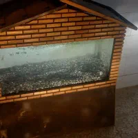 اکواریوم بهمراه کلبه
