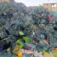 خریدسبد رنگی 60تومن