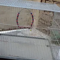 قفس پرنده