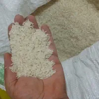 الک شده برنج طارم هاشمی ۳۵۵ لاشه ۲۴۰ فجر ۲۶۰