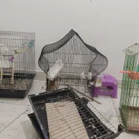 قفس|لوازم جانبی حیوانات|اهواز, بهارستان|دیوار