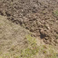 باغبانی کشاورزی شخم زنی تشتک بیل زنی  چال کود