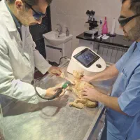 کلینیک دامپزشکی و پت شاپ پت لند شهرقدس