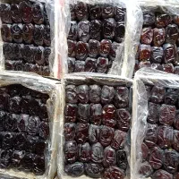 خرما دورج مکران عمده فقط