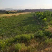 کشاورزی و دام و طیور