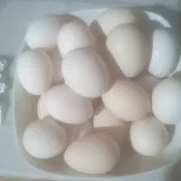 تخم مرغ محلی