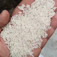 برنج هاشمی معطر درجه یک
