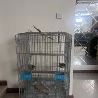 قفس بزرگ طوطی