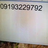 09193229792