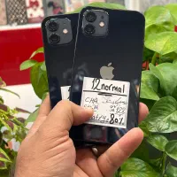 iPhone 12|موبایل|شیراز, زند|دیوار