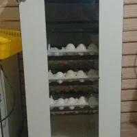 دستگاه جوجه کشی هدایت