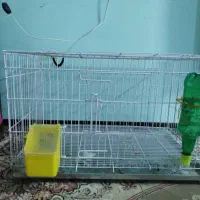 قفس پرنده