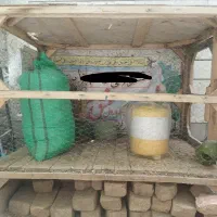 ثله چوبی کفتر