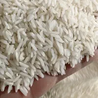 برنج هاشمی مغان